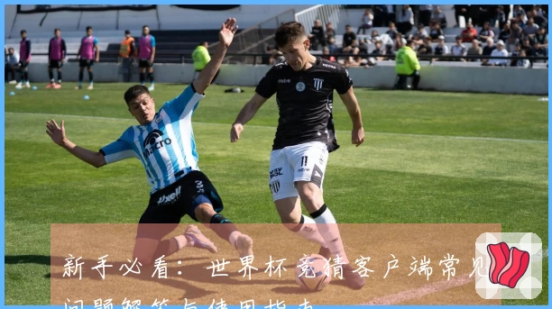 新手必看：世界杯竞猜客户端常见问题解答与使用指南