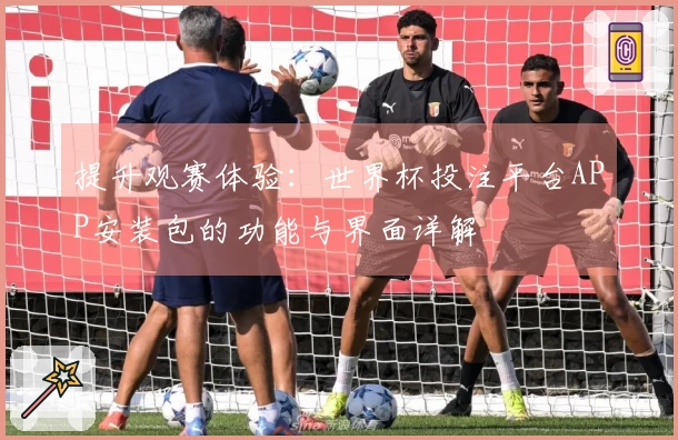 提升观赛体验：世界杯投注平台APP安装包的功能与界面详解