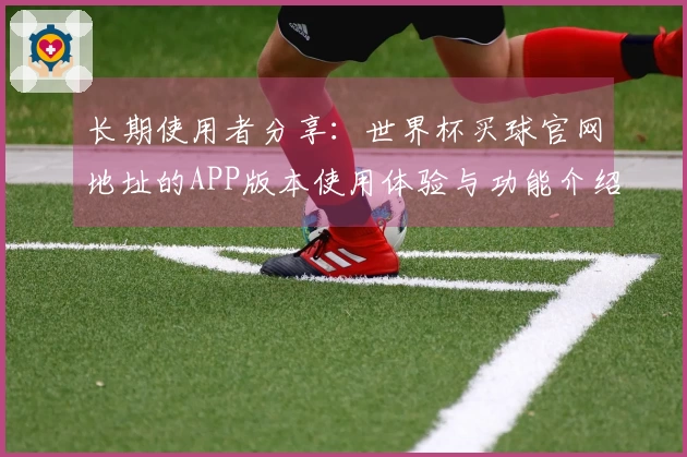 长期使用者分享：世界杯买球官网地址的APP版本使用体验与功能介绍