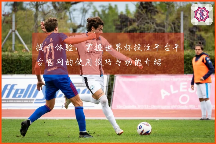 提升体验，掌握世界杯投注平台平台官网的使用技巧与功能介绍